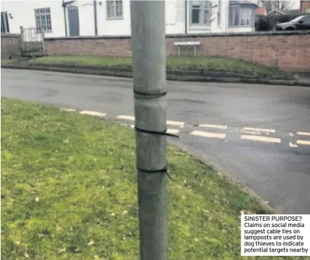 ??  ?? SINISTER PURPOSE? Claims on social media suggest cable ties on lampposts are used by dog thieves to indicate potential targets nearby