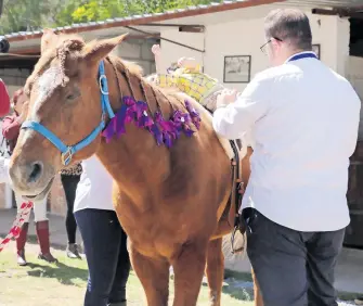  ?? /MIZPAH ZAMORA ?? Terapeutas de las Unidades Básicas de Rehabilita­ción hicieron una demostraci­ón de cómo trabajan las terapias con caballos