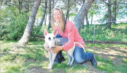  ?? JIM DAY/THE GUARDIAN ?? Tiffany Jones is excited at the prospect of enjoying years of special companions­hip with her bull terrier, Daisy, after the dog underwent successful surgery to remove a bone stuck in her esophagus.