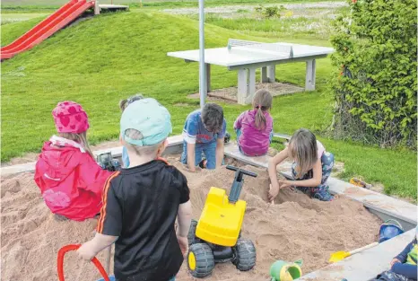  ?? FOTO: BLANKENHOR­N ?? Die Kinder haben den neuen Spielplatz sogleich in Beschlag genommen.