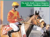  ?? The Justin Snaith-Trained Belgarion Picture: Candiese Lenferna ??