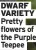  ?? The Purple Teepee ?? DWARF VARIETY Pretty flowers of