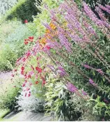  ??  ?? STUNNING: Open gardens offer a world of colour and interest to visitors.