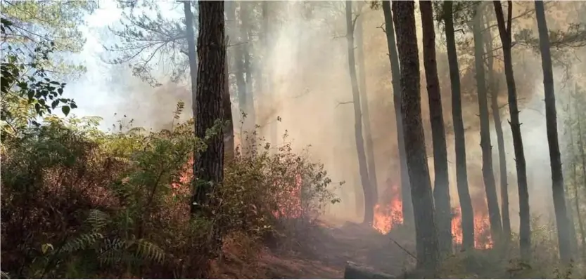  ?? PHOTOGRAPH BY BUREAU OF FIRE PROTECTION CORDILLERA. ?? Flames Officials of the different local government units of the Cordillera appeal to the public to be responsibl­e enough especially in doing ‘kaingin’ or slash and burn method of farming to prevent forest fires.