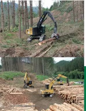  ??  ?? Top left: Ian Cameron stacks logs with the oldest machine in the fleet, a Cat 320D. Top right: Jason Tayler clears these trees along the roadside with the Cat 541 and SATCO 424.
Below: The electronic SATCO 424 head on the Cat harvester makes a nice...