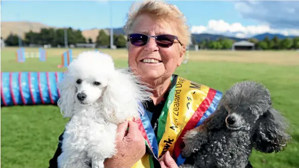  ?? SCOTT HAMMOND/STUFF ?? Wendy Reynolds has just competed in the dog agility National Championsh­ips with her toy poodles Pearl and Crystal.