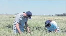  ??  ?? Menos impacto. La huella ambiental está en el centro del debate.