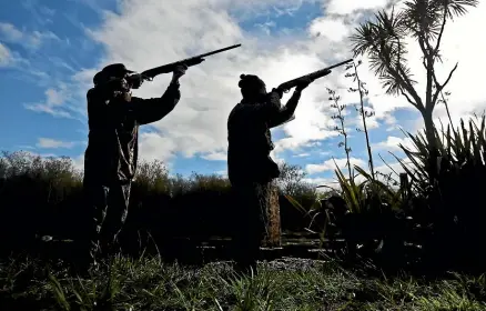  ?? CHRIS SKELTON/STUFF ?? Hunting is the largest cause of gunshot wounds for people who end up at Waikato emergency department­s.