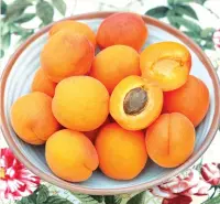  ?? SALLY TAGG/NZ GARDENER ?? If you’ve eaten a particular­ly tasty apricot, save the stone and follow the steps below to grow some more.