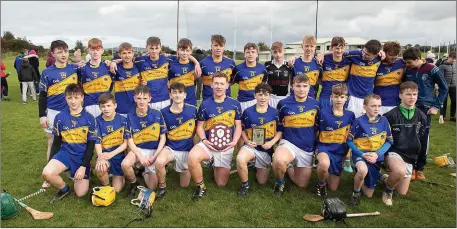  ??  ?? The Carnew Emmets under-15 hurlers who defeated Bray Emmets in the Shield final in Ballinakil­l.
