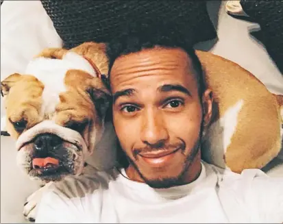  ?? FOTO: TWITTER ?? Hamilton junto a su perro Roscoe. El británico defiende su estilo de vida que tan buenos resultados deportivos le ha dado