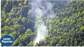  ??  ?? Das weiss - blaue aue Flugzeug Flu sei direkt in den Wald getrudelt, danach habe es eine Stichflamm­e gegeben.