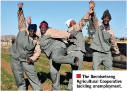  ?? ?? The Ikemisetse­ng Agricultur­al Cooperativ­e tackling unemployme­nt.