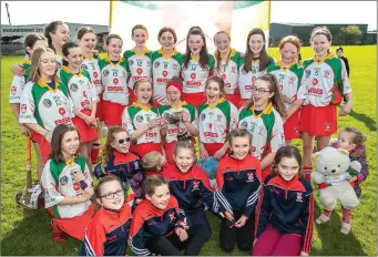  ??  ?? Kiltegan, the under-14 ‘B’ camogie champions after victory over Arklow Rocks.