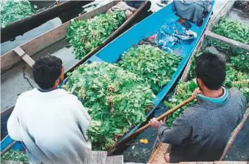  ??  ?? Najmus Saqib took this image at Dal Lake in Srinagar, Jammu and Kashmir. The lake is home to the floating vegetable market that operates early morning every day, just after sunrise. The produce sold in this market is mostly grown on floating gardens over the lake.