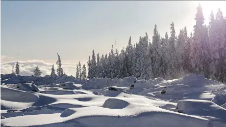  ?? PHOTOS: MOUNT WASHINGTON ALPINE RESORT ?? Sheila Rivers of Mount Washington Alpine Resort says about 20 boy scouts and a dozen other people spent a night at the resort’s lodge when more than a metre of snow fell. The sudden storm resulted in avalanches.