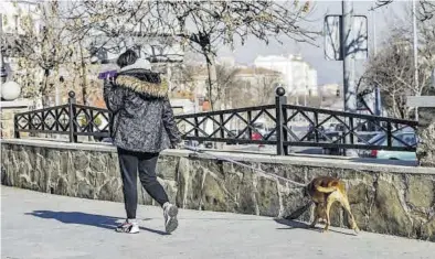  ?? SILVIA SÁNCHEZ ?? Una vecina de la ciudad pasea a su mascota por las calles de Huesca.