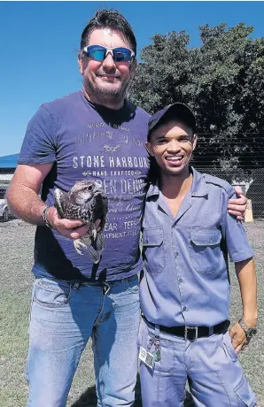  ?? Picture: ALLISON CAWOOD ?? BIRD IN THE HAND: Caring security guard Elgin du Preez, right, and Wildline founder Arnold Slabbert with the rescued lanner falcon