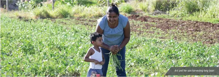  ?? ?? Arti and her son harvesting long bean