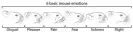  ?? Photograph: Julia Kuhl/Max Planck Institute of Neurobiolo­gy ?? The research provides new ways to measure the intensity of emotional responses