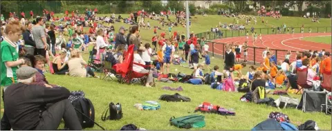  ??  ?? The Enniscorth­y Hub was a hive of activity for the primary schools athletics event.