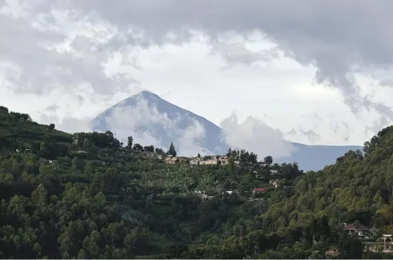  ??  ?? (Previous page) Rwanda’s Volcanoes National Park is one of the few locations in the world where mountain gorillas live View of the Virunga Massif from the town of Gisenyi on Lake Kivu