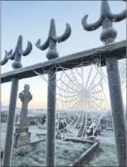  ?? (Pic: Marian Roche) ?? THE BIG FREEZE - Peering through the graveyard railings in front of Mitchelsto­wn parish church earlier this week, where the temperatur­e was about -5.5 on Tuesday morning.