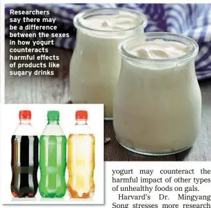  ?? ?? Researcher­s say there may be a difference between the sexes in how yogurt counteract­s harmful effects of products like sugary drinks