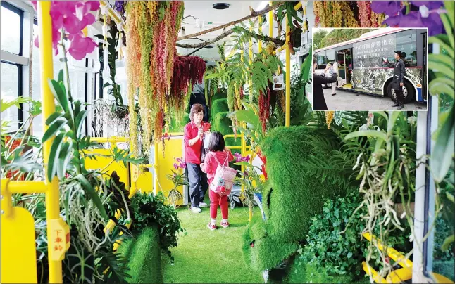  ??  ?? A passenger takes photos among live vegetation inside the ‘forest bus’ in Taipei on May 26. (Inset): Journalist­s take photos of the ‘forest bus’ in Taipei. (AFP)