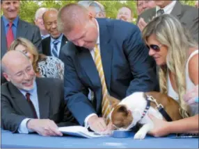  ?? AP PHOTO FILE PHOTO ?? After getting the signature of Gov. Tom Wolf, left, Pennsylvan­ia’s animal cruelty bill gets a paw print by Libre, a Boston terrier puppy who was emaciated and diseased when he was rescued last year by a delivery truck driver from an animal breeder in...