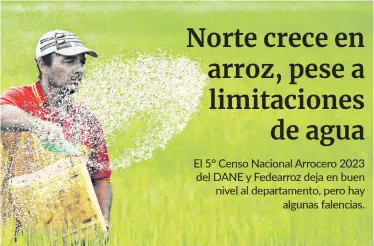  ?? Foto Archivo ?? Norte de Santander creció a 37.800 hectáreas sembradas de arroz en 2023./