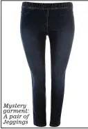  ??  ?? Mystery garment: A pair of Jeggings