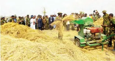  ??  ?? Threshing in the ranch, demonstrat­ed to guests