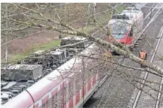  ?? FOTO: DPA ?? Ein Baum liegt auf einer Oberleitun­g einer Bahnstreck­e bei Dormagen. Bahnreisen­de mussten am Montag weiter mit Ausfällen rechnen.