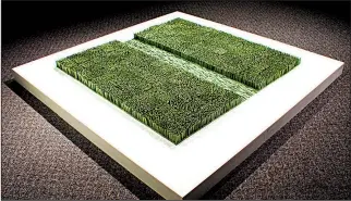  ?? Courtesy of Arkansas Arts Center ?? Dawn Holder of Clarksvill­e won the Grand Award at the Arkansas Arts Center’s “The 59th Annual Delta Exhibition.” Her 60-by-60-by-2 ½-inch porcelain sculpture is titled Grass Variation (Mowed Path).