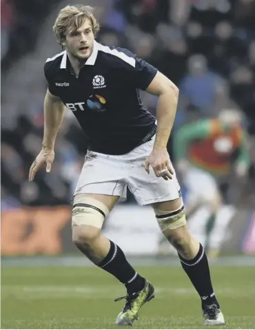  ??  ?? 0 6ft 10in lock Richie Gray is hoping to add to his 65 Scotland caps but says Glasgow is his priority.