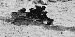  ?? ED KAISER/ EDMONTON JOURNAL ?? Bitumen seeps through a fissure in the ground at Canadian Natural Resources Limited’s oilsands project near Cold Lake.