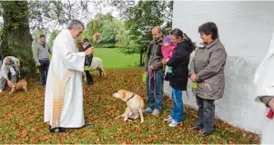  ?? Foto: Monika Seibold, zv ?? Am Sonntag, 7. Oktober findet in der Filialkirc­he St. Franziskus bei Dasing wieder eine Tiersegnun­g für Bello, Mietzi und andere statt.