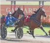  ?? PHOTO: SUPPLIED ?? Waikiki Beach winning in Australia in 2016.