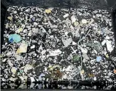  ?? PHOTO: OCEAN CLEANUP FOUNDATION ?? A sampling of plastic from the Great Pacific Garbage Patch.