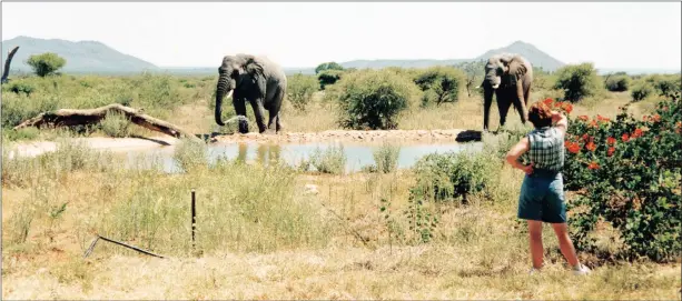  ??  ?? Mining and farming is destroying the dream of taking down the fences and allowing elephants and other game to migrate freely.