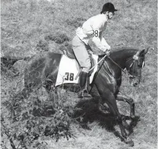  ?? FOTO: IMAGO ?? Da war Hans-Gunnar Liljenwall­s Welt bei den Spielen 1968 noch in Ordnung: Geritten sind die Fünfkämpfe­r vor dem Schießen.