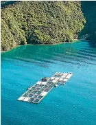  ?? PHOTO: SUPPLIED ?? New Zealand King Salmon’s Ruakaka farm in the Queen Charlotte Sound.