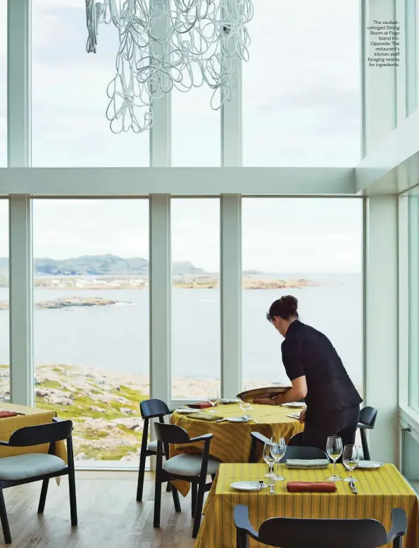  ??  ?? The vaulted103 ceilinged Dining Room at Fogo Island Inn. Opposite: The restaurant’s kitchen staff foraging nearby for ingredient­s.