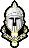  ?? ?? ELITE: The SRR insignia