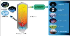  ??  ?? Şekil 1. Gazlaştırm­a işlemine ait temel şema2