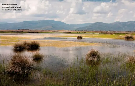  ??  ?? Bird-rich coastal wetlands at the head of the Gulf of Kalloni