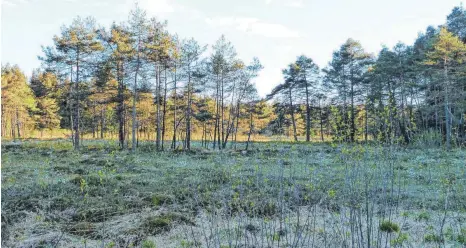  ?? FOTO: BUND NATURSCHUT­Z ?? Das Degermoos hat vielfältig­e, naturnahe und nutzungsbe­dingte Moorlebens­räume zu bieten.