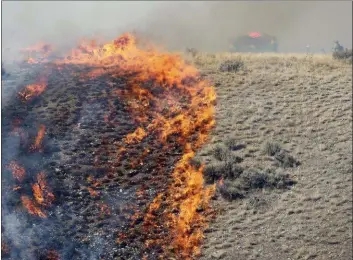  ?? JEFFREY D. ALLRED/THE DESERET NEWS VIA AP, FILE ?? In this 2018 file photo, firefighte­rs battle a brush fire near Shaggy Mountain Road in Herriman, Utah. The Trump administra­tion is proposing an ambitious plan to slow Western wildfires by bulldozing, mowing or revegetati­ng large swaths of land along 11,000 miles of terrain in the West. The plan announced this summer would create strips of land known as “fuel breaks” in parts of Idaho, Oregon, Washington, California, Nevada and Utah.