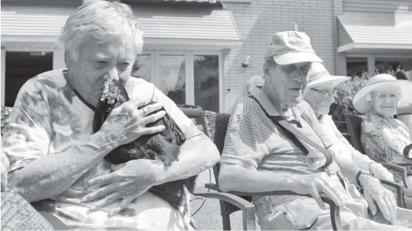  ?? [ALI WILSON / THE OBSERVER] ?? Pat Maxine holding one of the four hens Chartwell Elmira Retirement Residence is taking care of as part of the program ‘Rent The Chicken’, which allows for the small-scale care of laying hens.